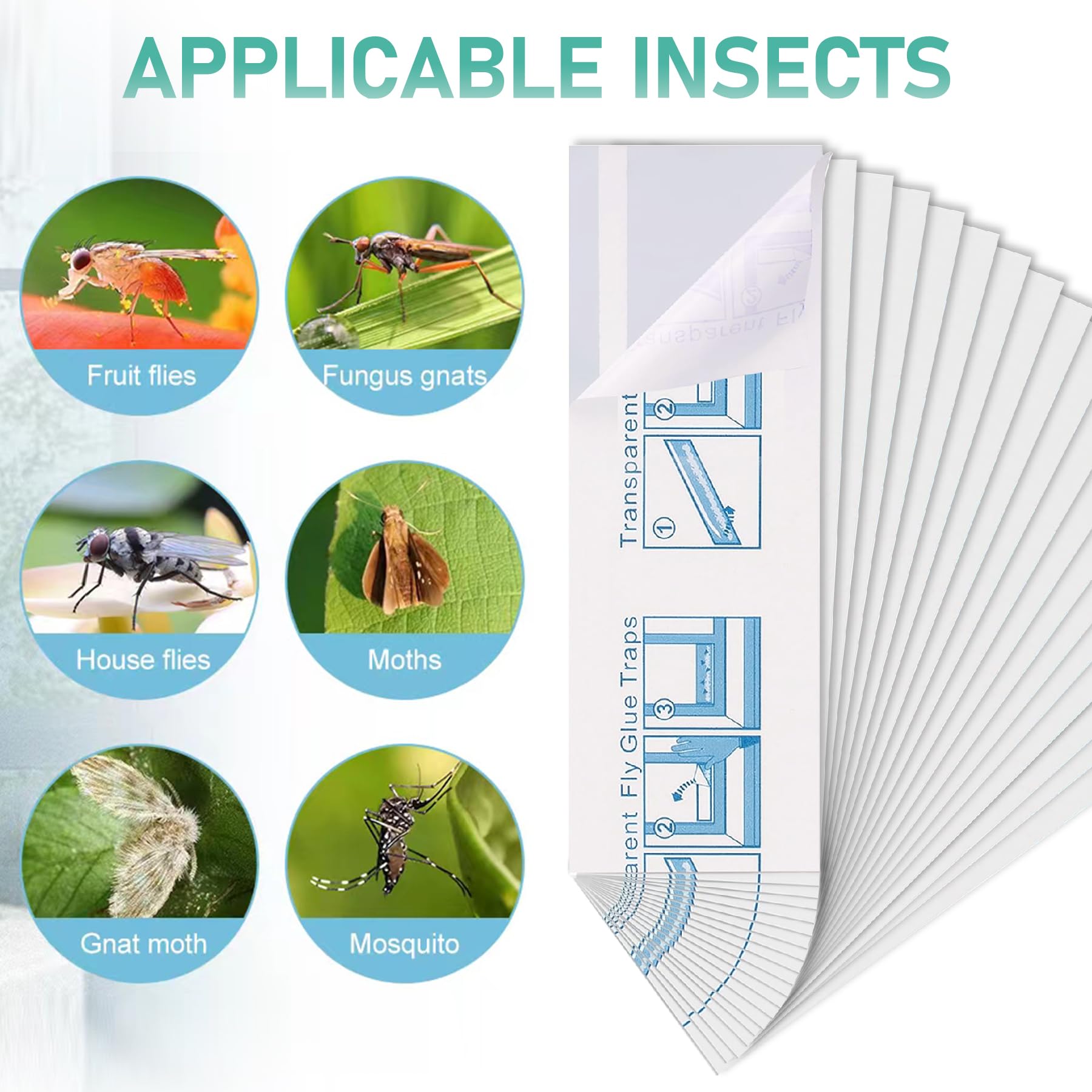 Transparent design of Cleanuper fly trap on glass