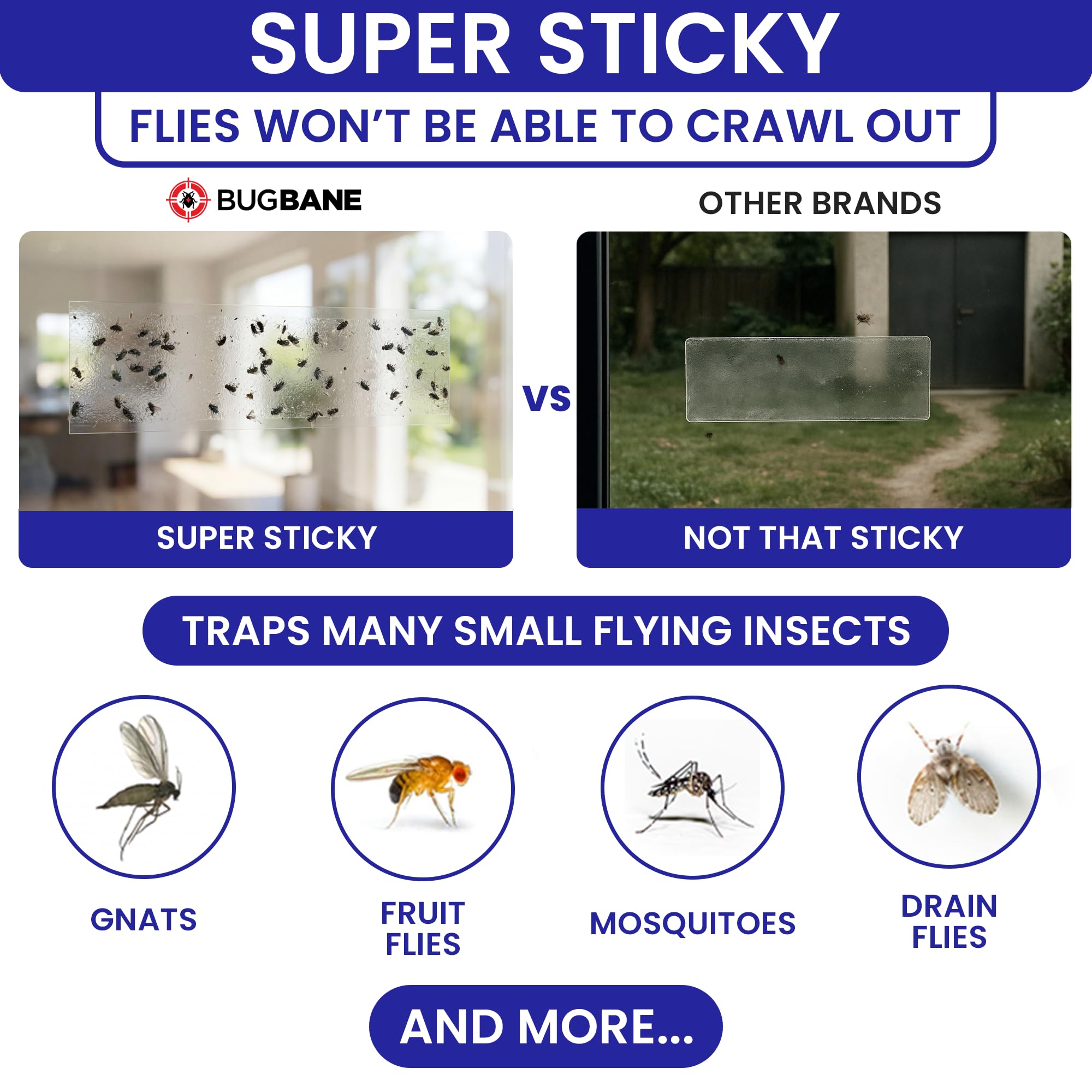 Transparent fly trap strip adhered to window