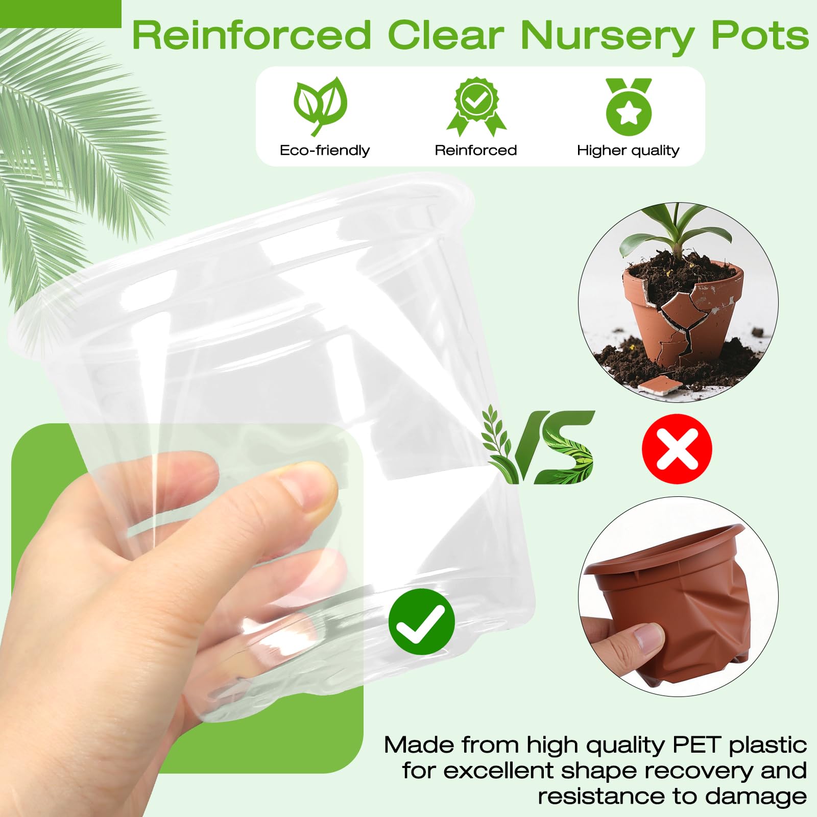 Transparent FUOAUYK nursery pot showing root development