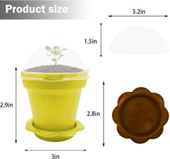 Transparent humidity dome on a purple star nursery pot