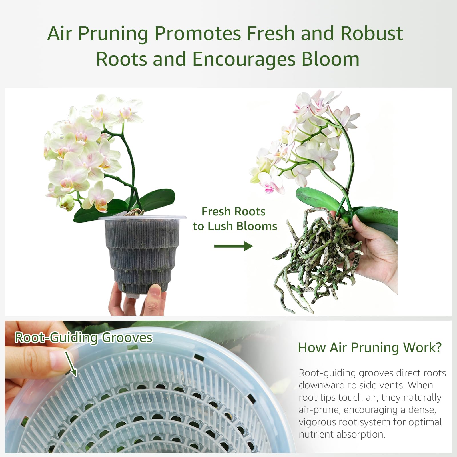 Transparent inner pot for observing root growth