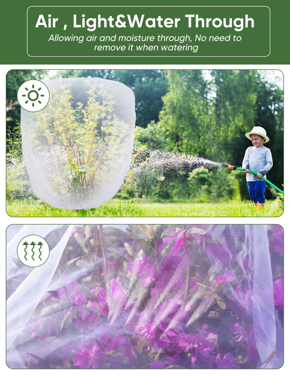 Transparent LCHUANG Garden Netting covering blueberry bushes