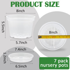 Transparent plastic nursery pot showing plant roots