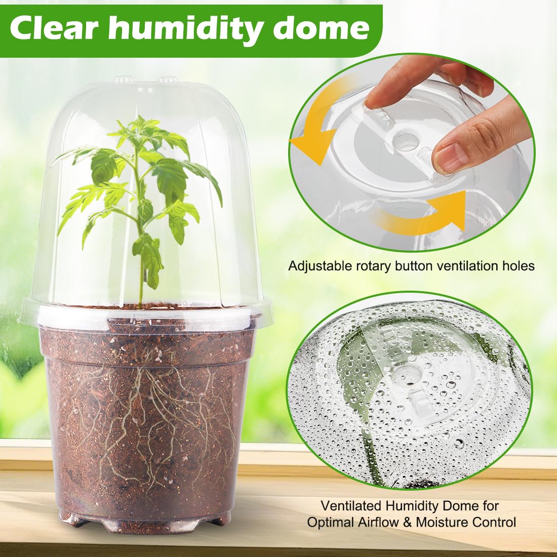 Transparent plastic nursery pot showing soil and seeds