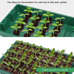 Transparent plastic seed tray showing 200 cells
