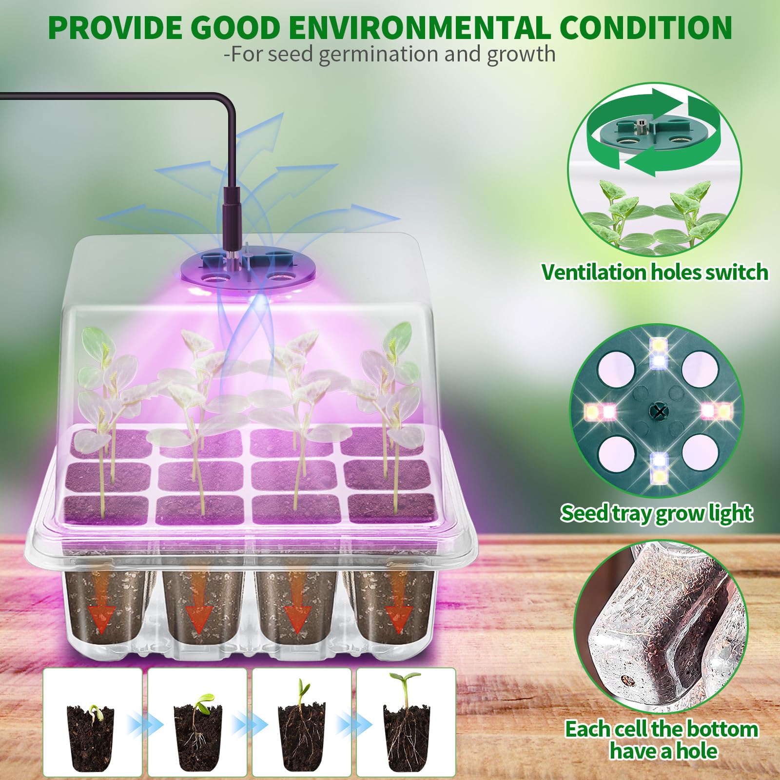 Transparent seed starter tray with LED lights