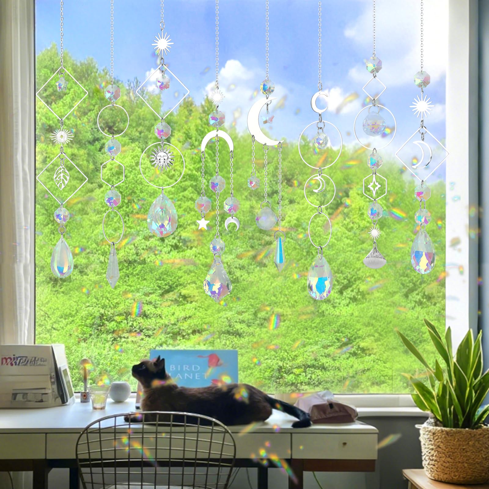 Transparent storage box with organized sun catcher accessories