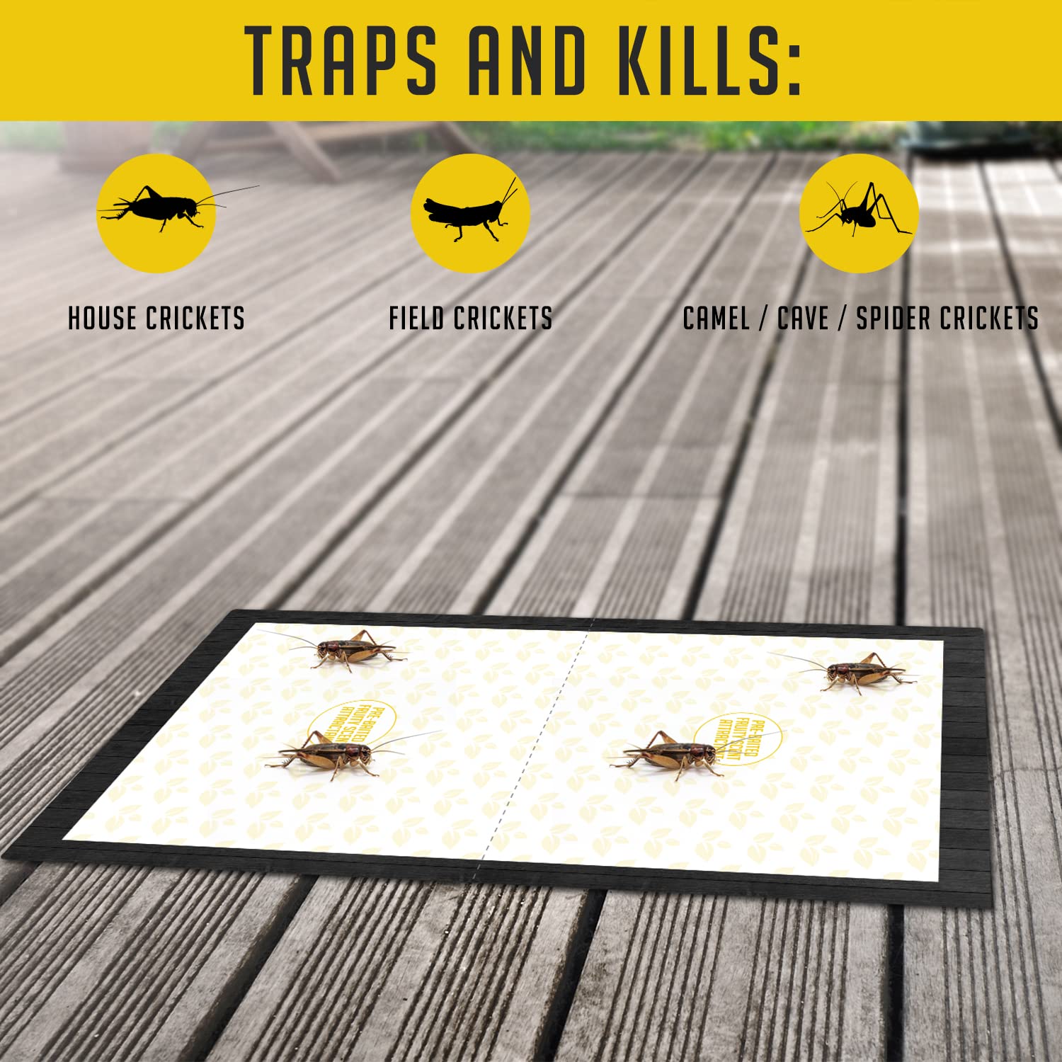 TRAP A PEST cricket traps in use against a wall