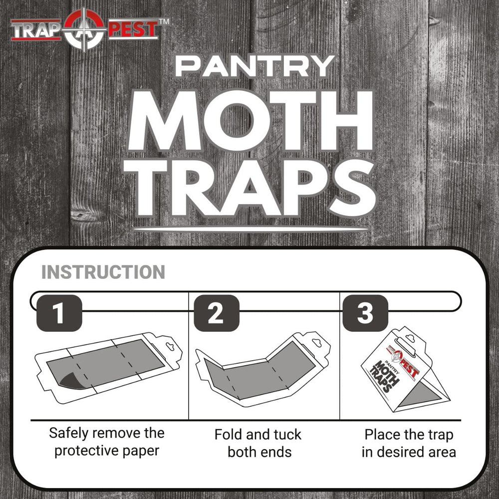 TRAP A PEST Moth Trap black design integration