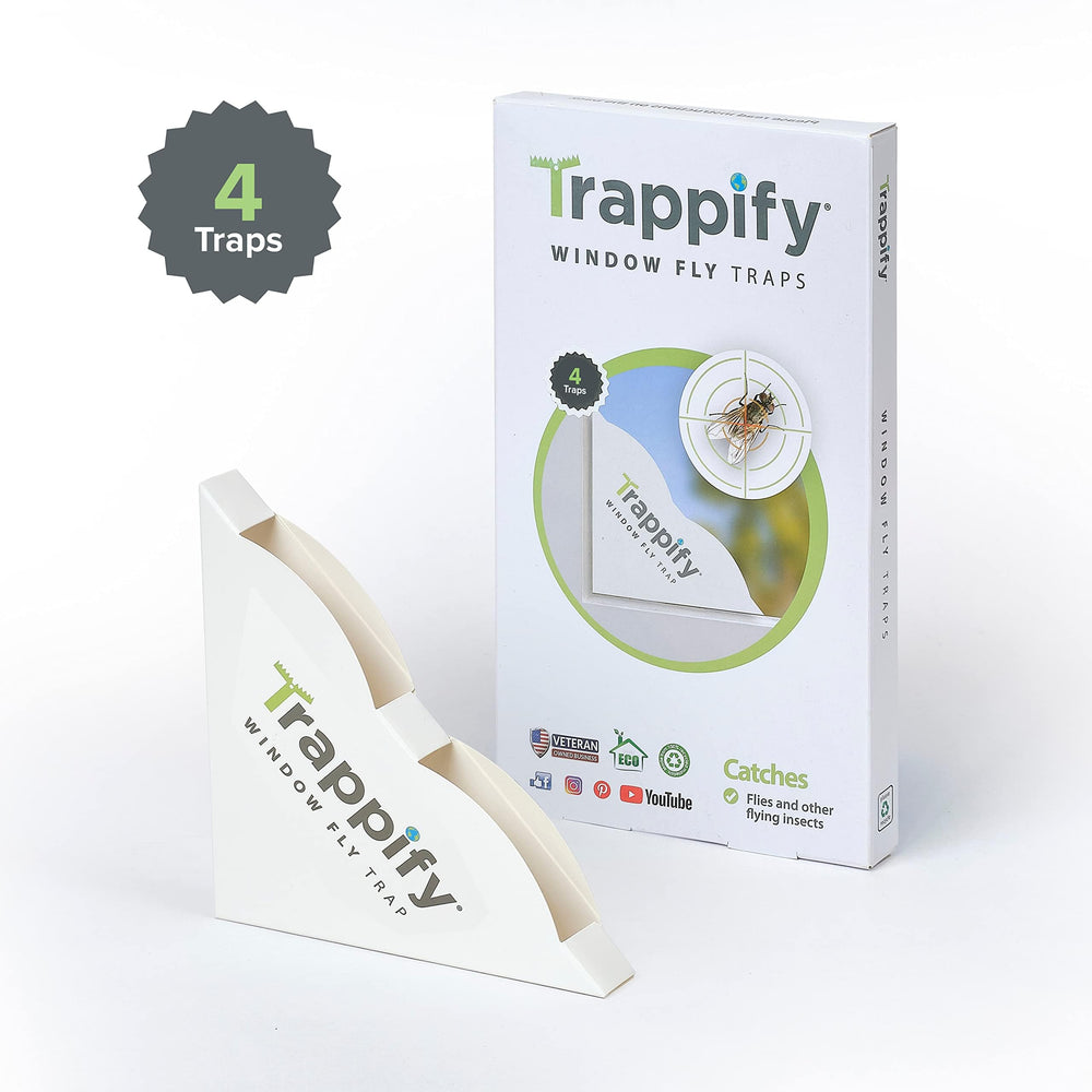 Trappify fly trap showing easy removal feature