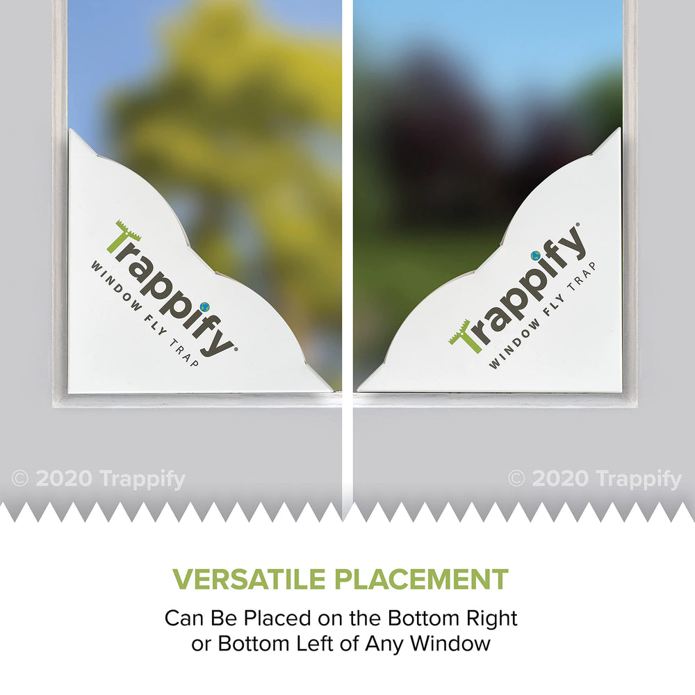 Trappify fly trap with adhesive panel visible
