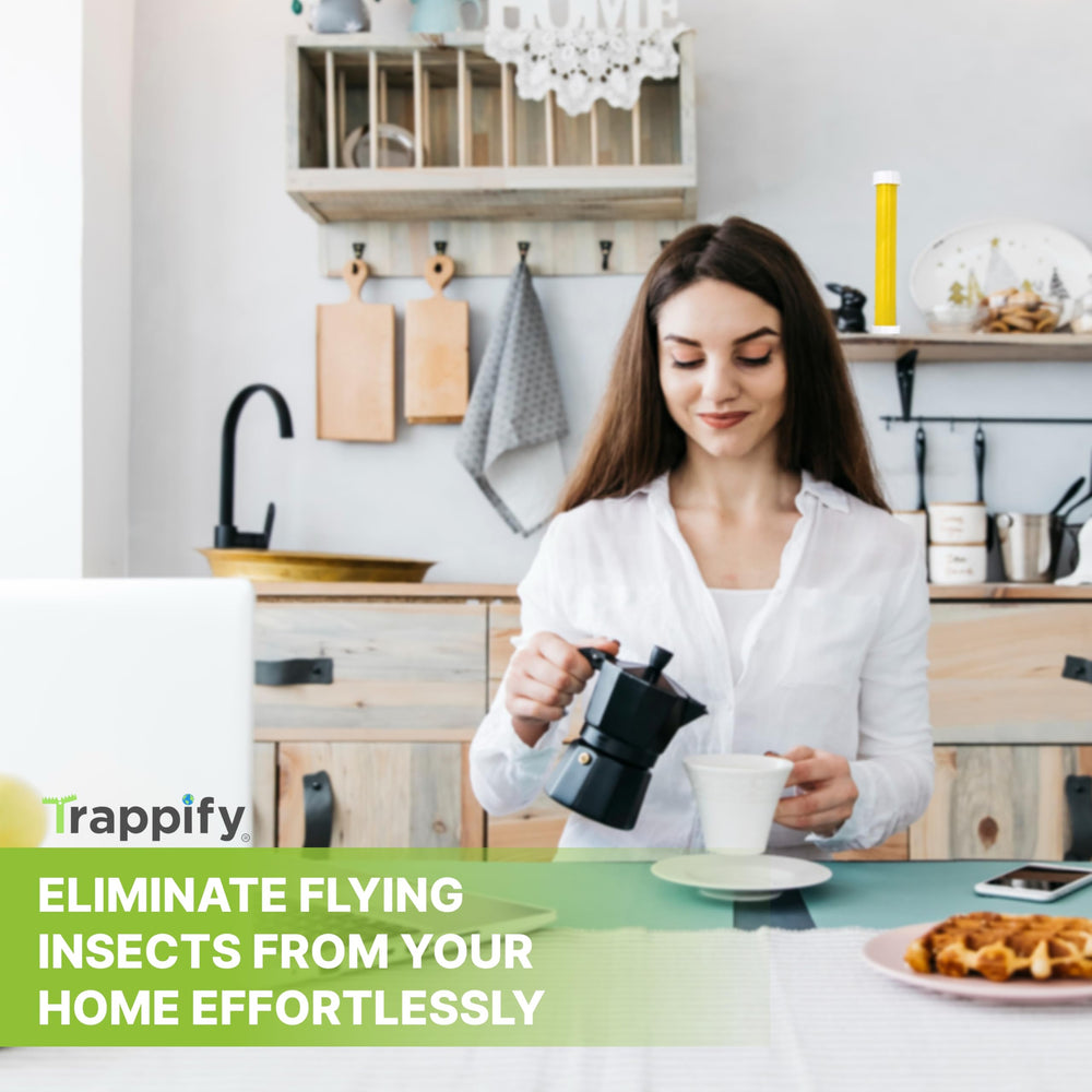 Trappify Hanging Fly Trap with honey attractant