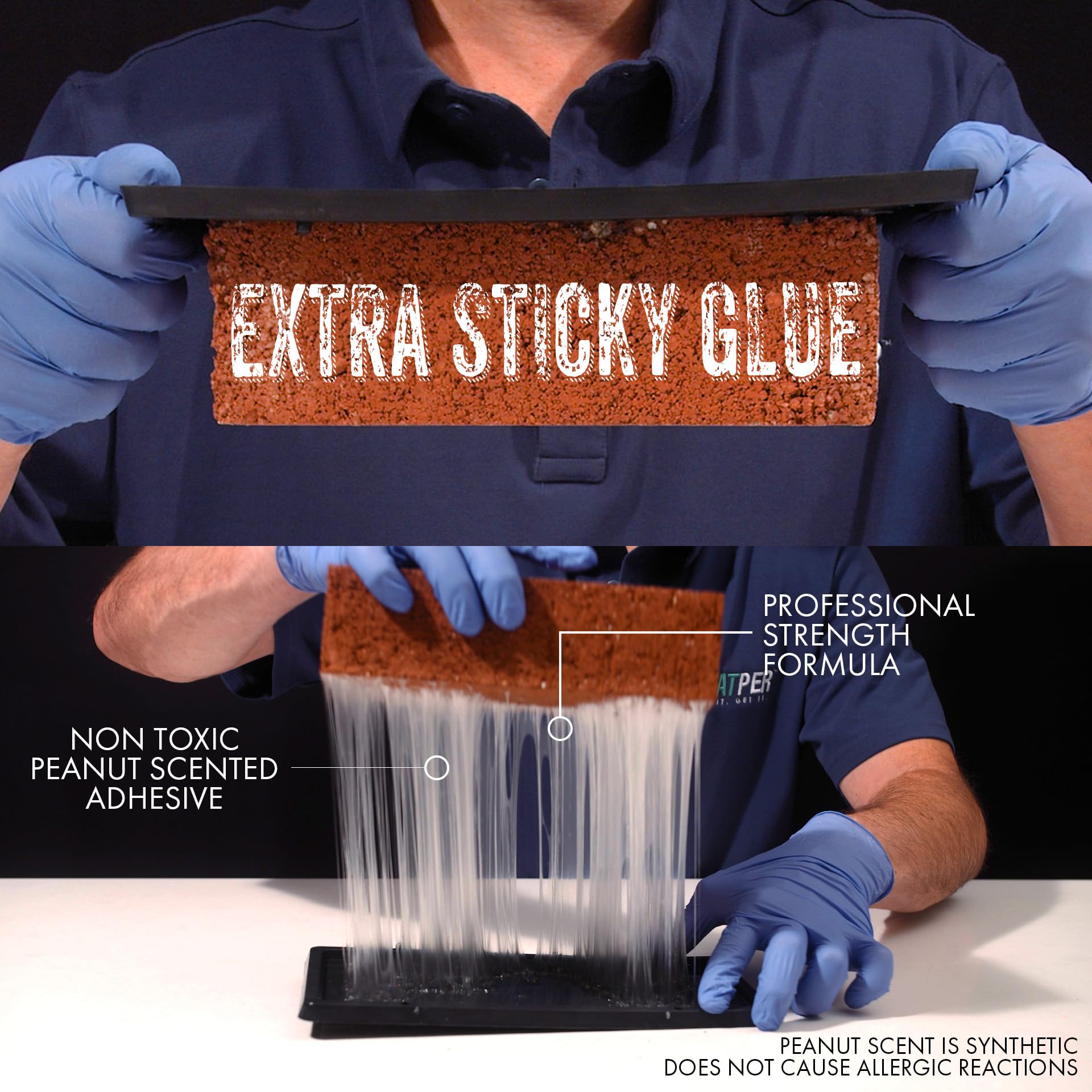 TRATPER Glue Trap on a surface ready for use
