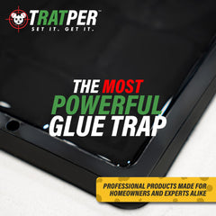 TRATPER Glue Traps showing adhesive quality