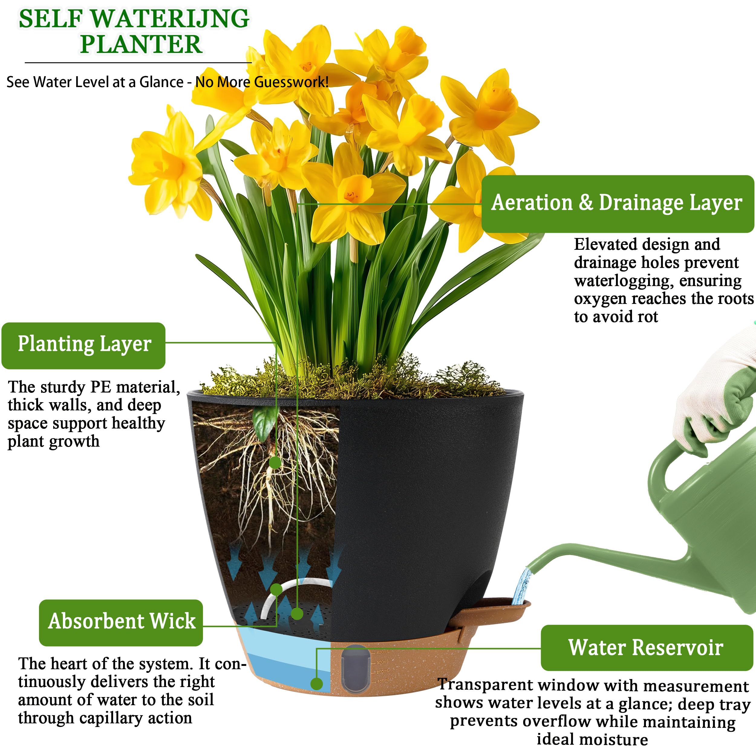 Tray for Fielda self-watering pots showing water level