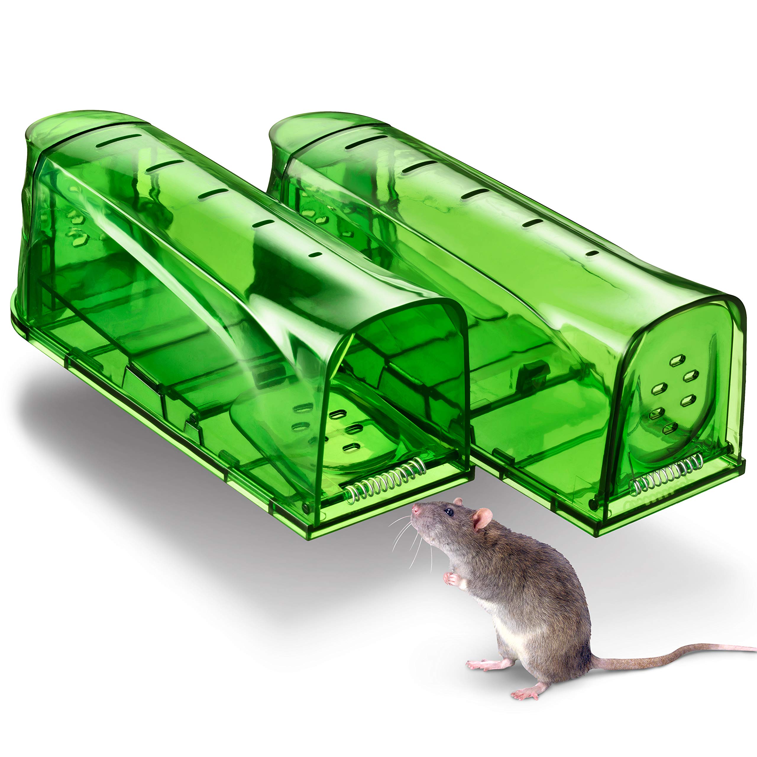 Trazon humane mouse trap front view, green colour