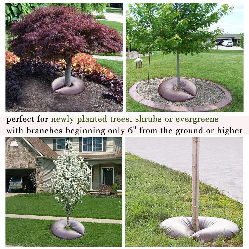 Tree watering system in use around a young tree