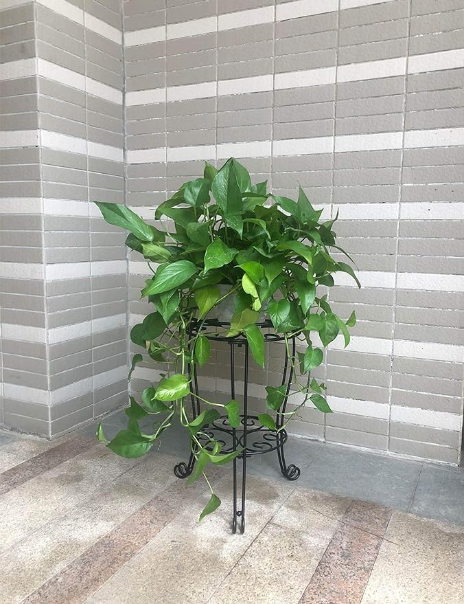 TREEZITEK Metal Plant Stand in home decor setting