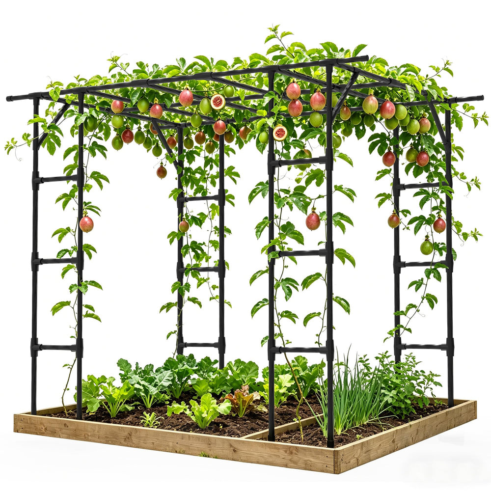 Trellume Grape Vine Trellis front view with climbing plants