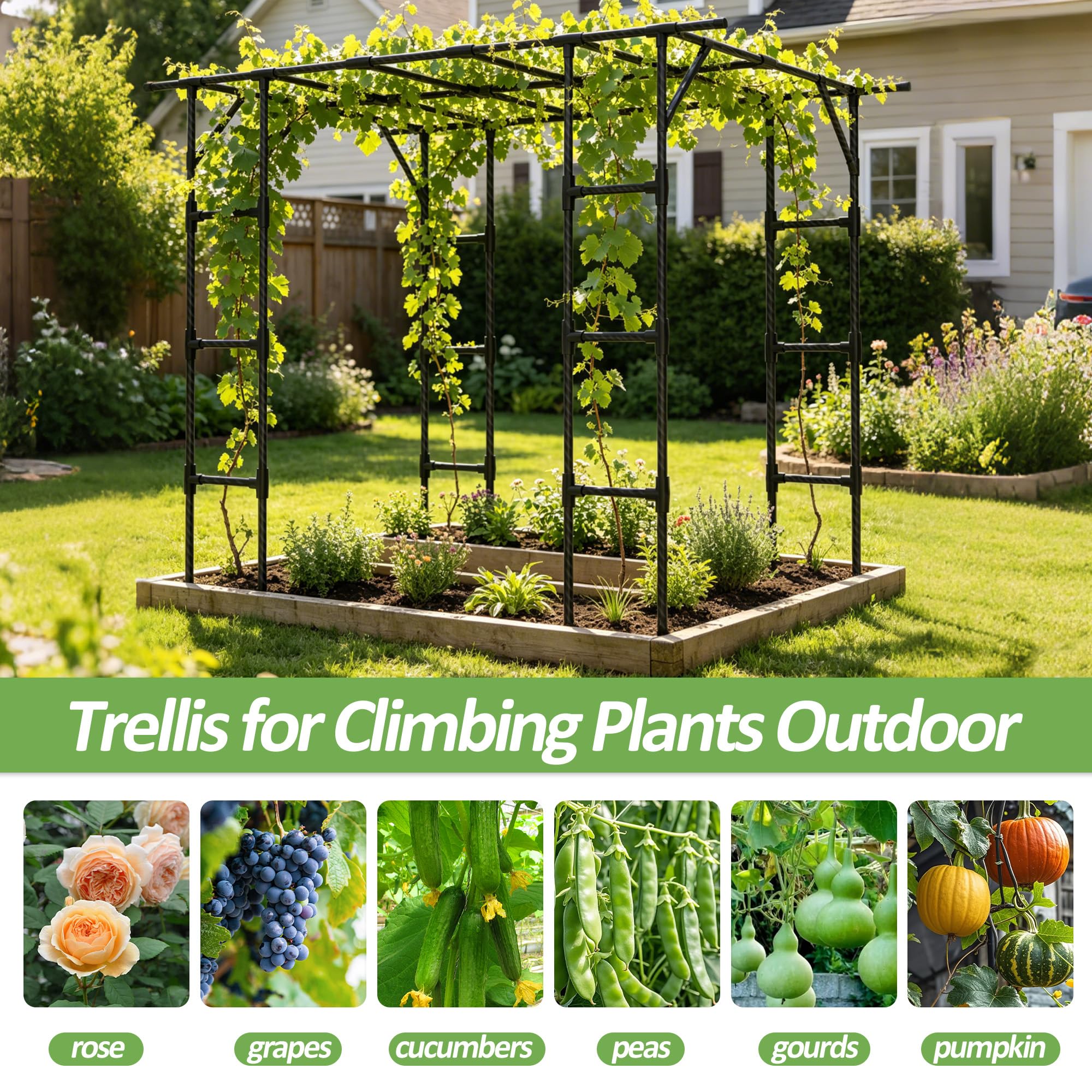 Trellume Grape Vine Trellis packaged in box