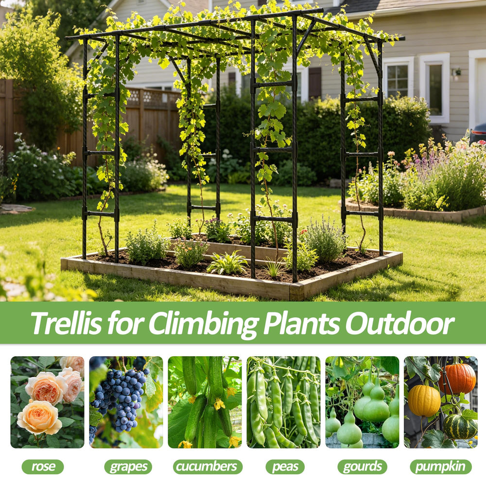 Trellume Grape Vine Trellis packaged in box