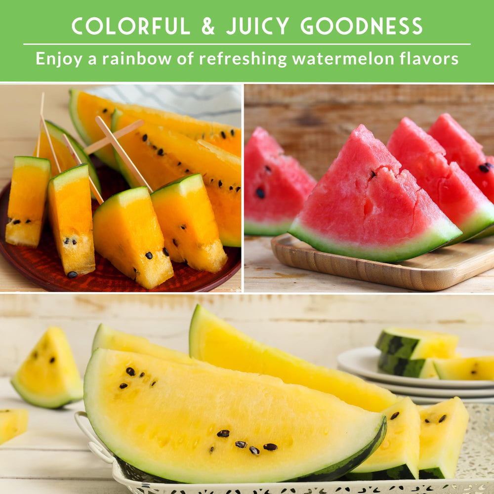 Tri-Color Watermelon Seeds pack with all three varieties