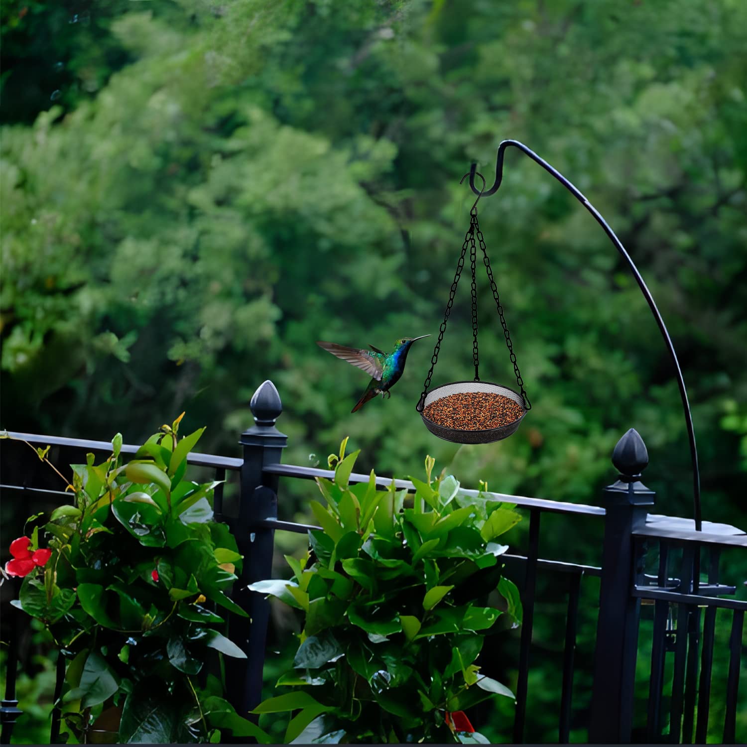 Trieez Hanging Bird Feeder in a garden setting attracting birds