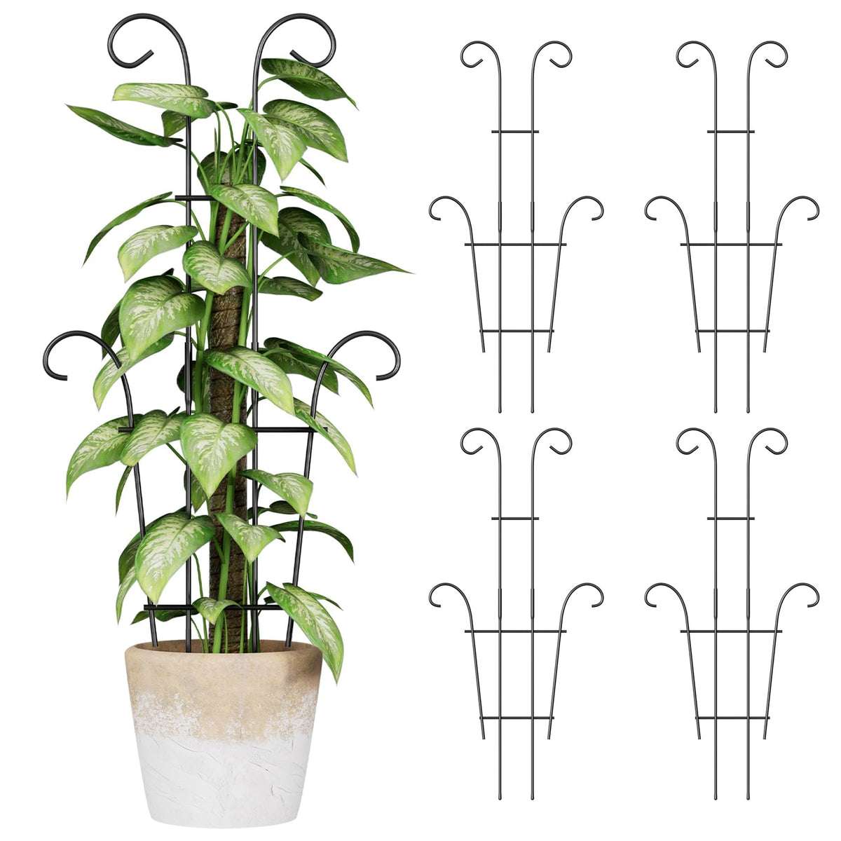 Trlzey 23.6in black metal plant trellis front view