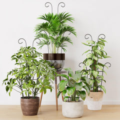 Trlzey 23.6in metal trellis side view with climbing plants