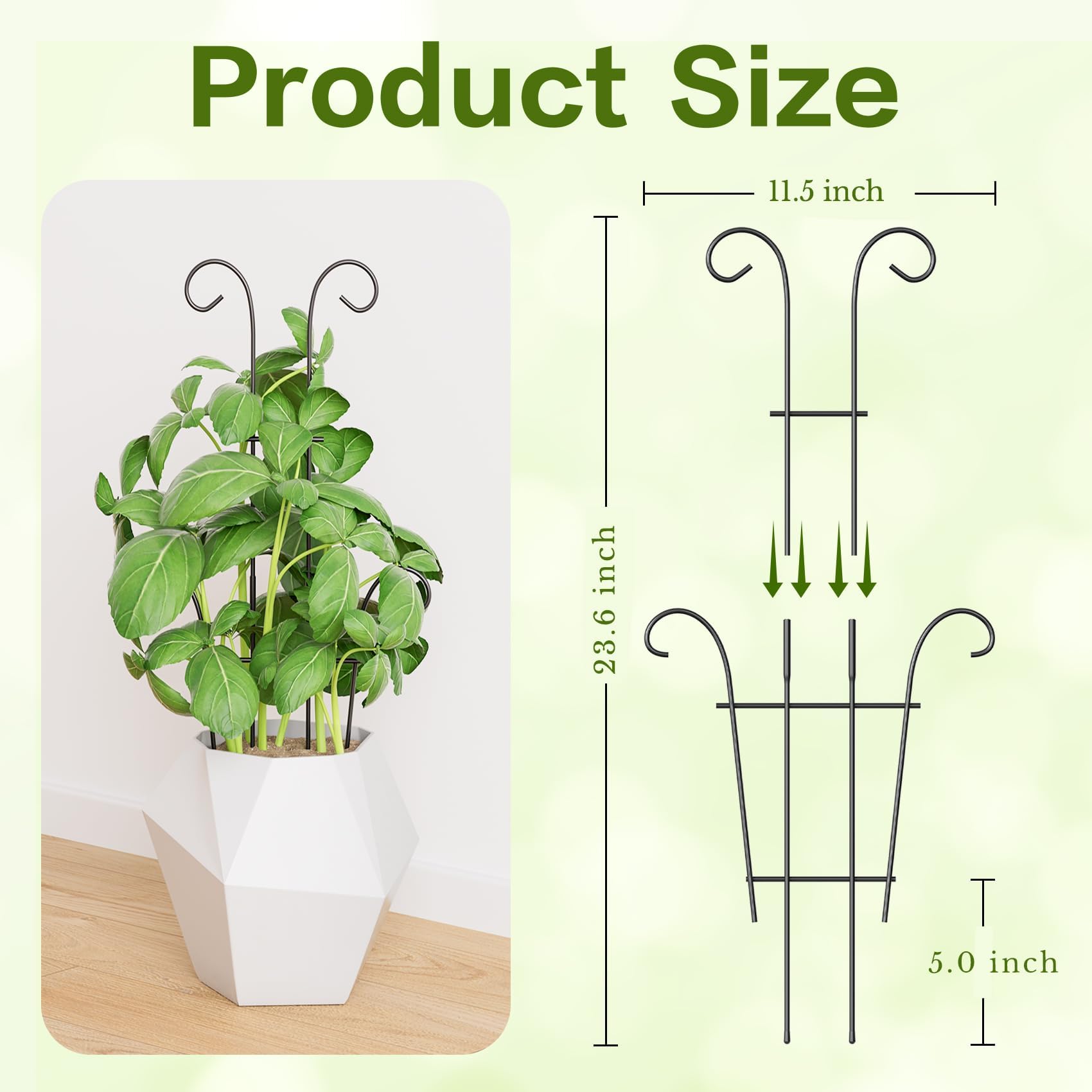 Trlzey 23.6in plant trellis assembled with potted Monstera