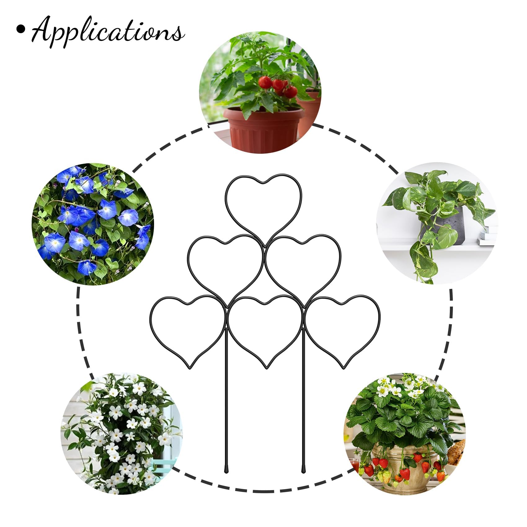 Trlzey Plant Trellis package dimensions and details