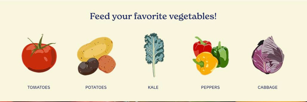 True Organic Tomato & Vegetable Food granules close-up
