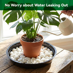 TRUEDAYS 10 Inch black plant saucer on carpet