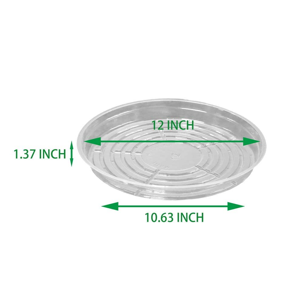 TRUEDAYS 12 Inch clear plant saucer side view