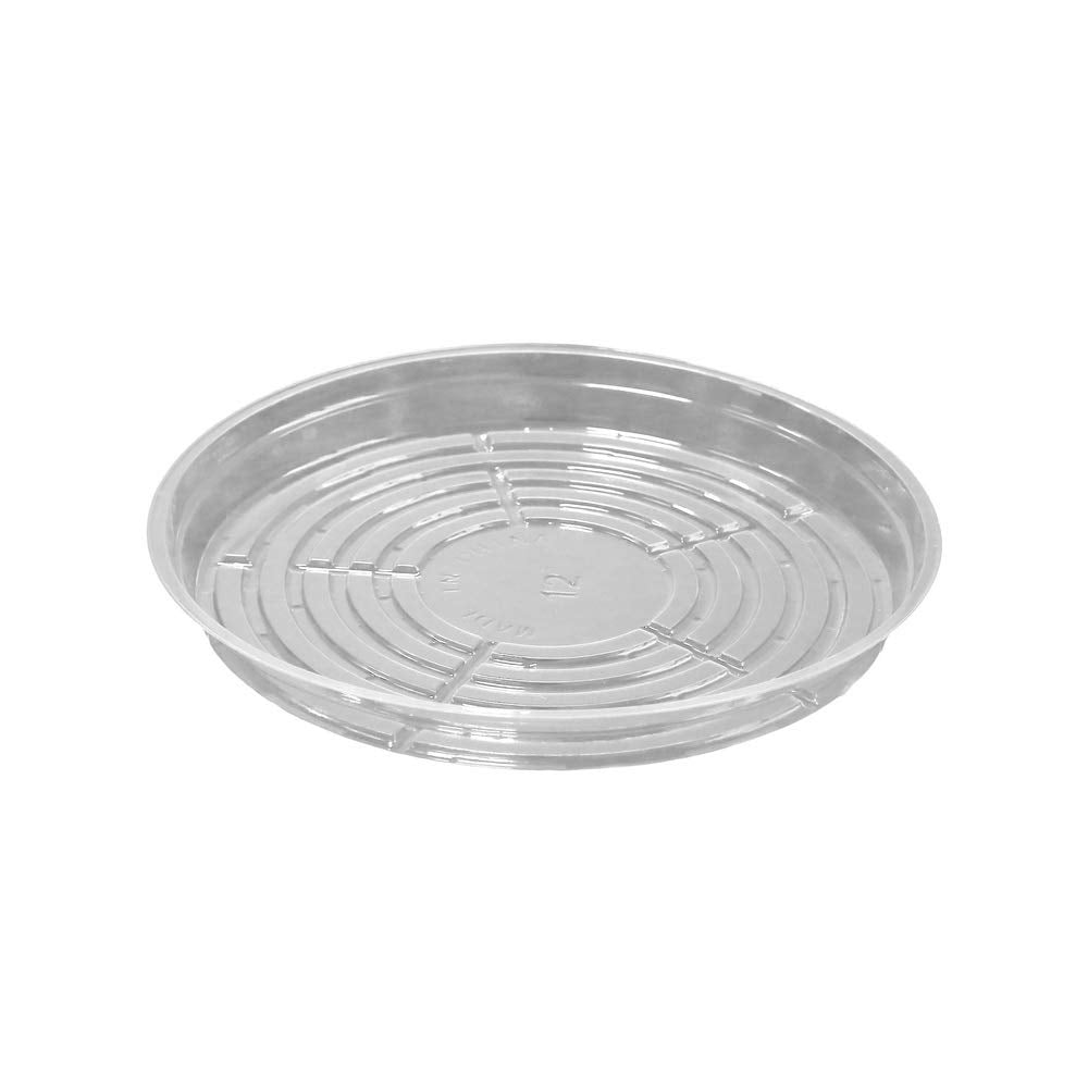 TRUEDAYS 12 Inch clear plant saucer top view