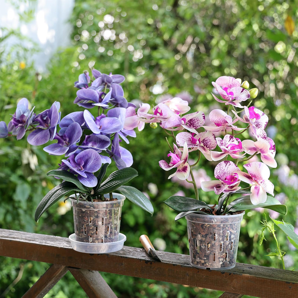 TRUEDAYS 5 Inch Orchid Pot packaging