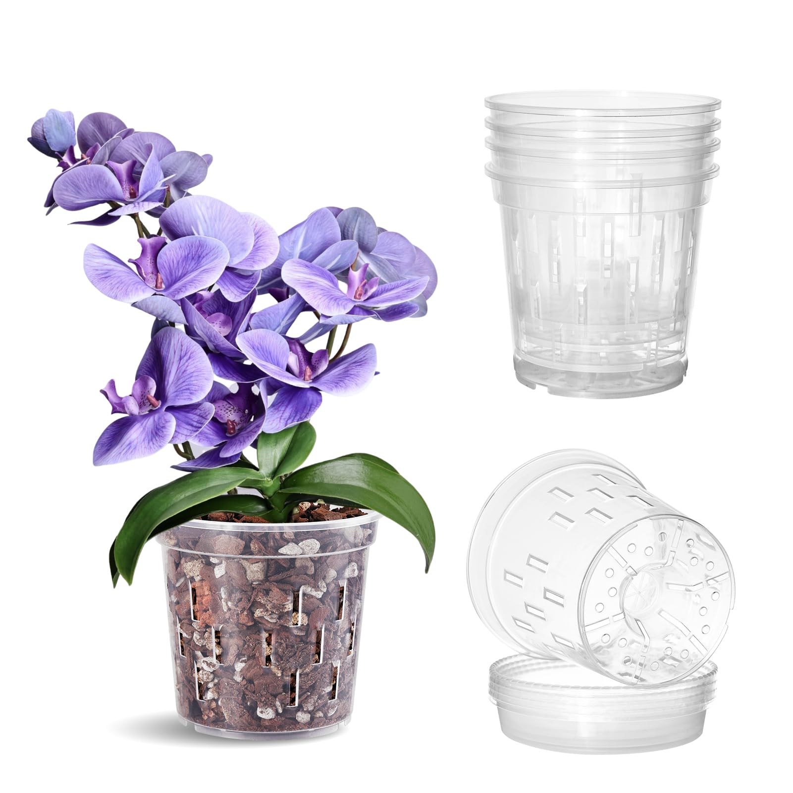 TRUEDAYS 5 Inch Orchid Pot with Saucer front view