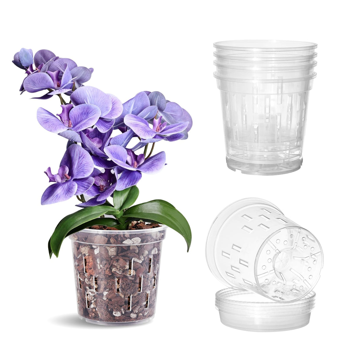 TRUEDAYS 5 Inch Orchid Pot with Saucer front view