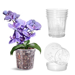 TRUEDAYS 5 Inch Orchid Pot with Saucer front view