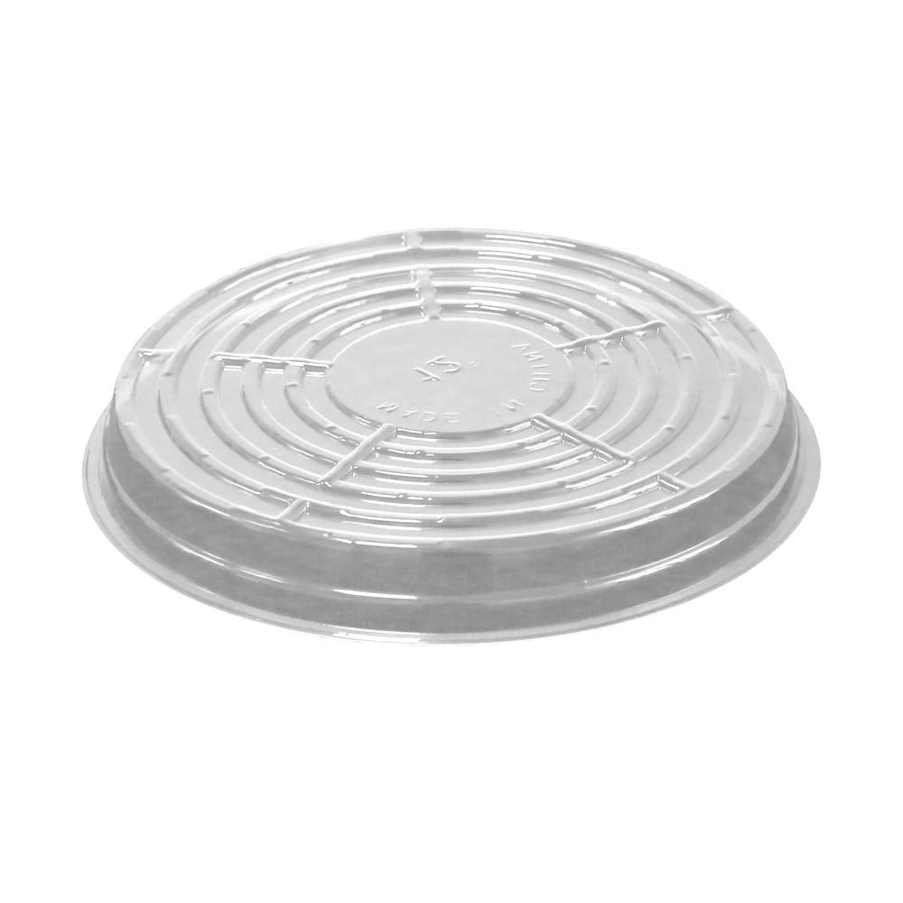 TRUEDAYS clear plant saucer showing bottom design