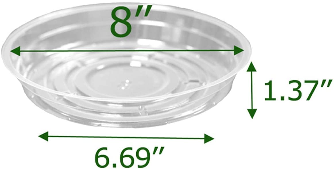 TRUEDAYS clear plant saucer with a plant on top