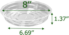TRUEDAYS clear plant saucer with a plant on top