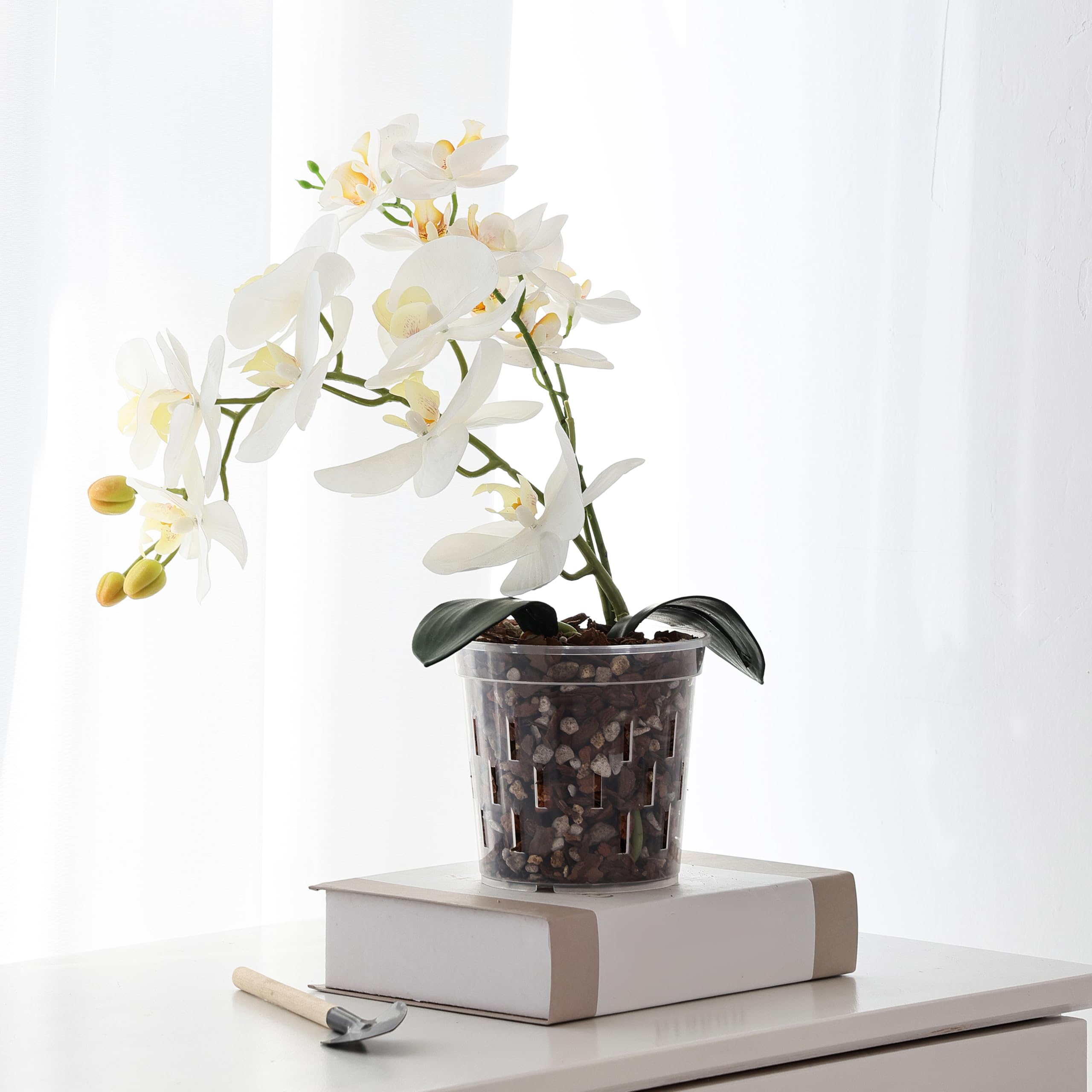 TRUEDAYS Orchid Pot in a decorative setting