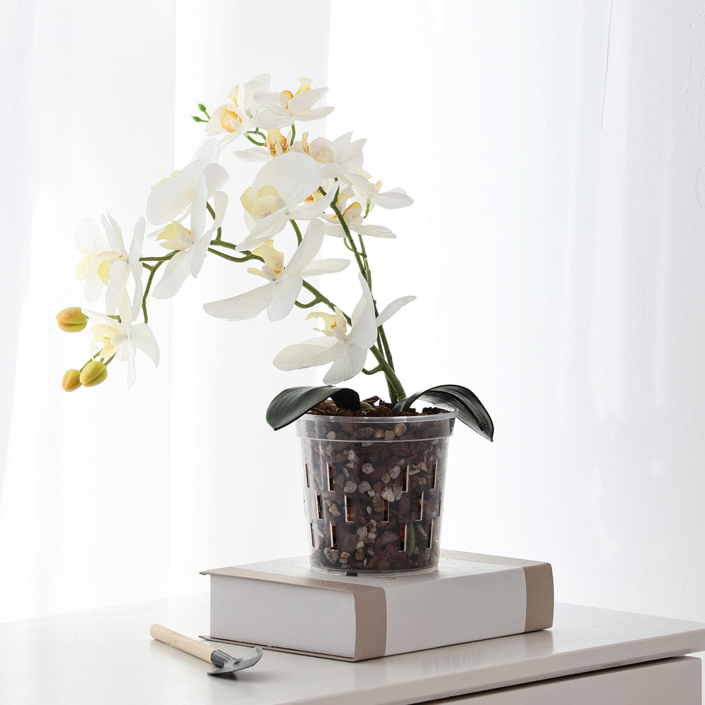TRUEDAYS Orchid Pot in a decorative setting