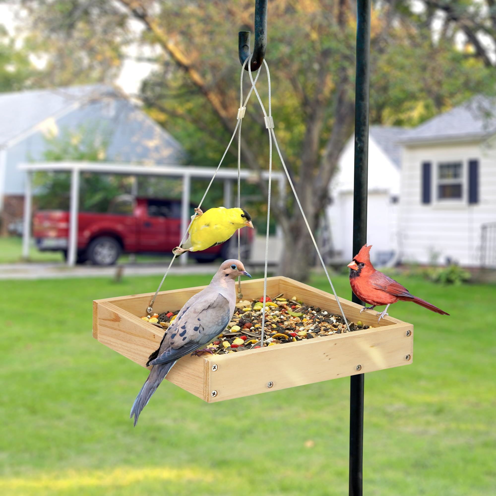 TT Nature Bird Feeder with a variety of bird species around it