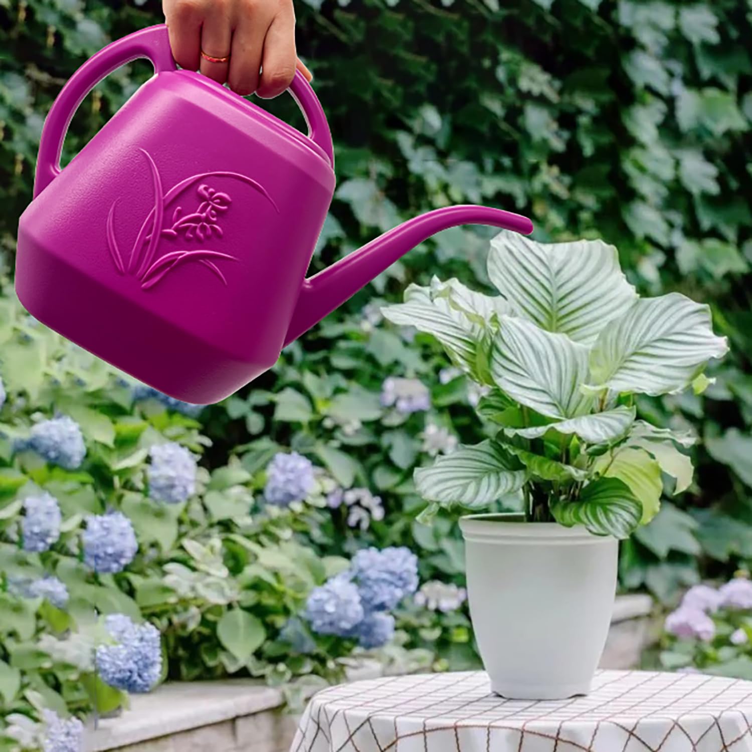 TTAOE GN Watering Can on a patio with plants
