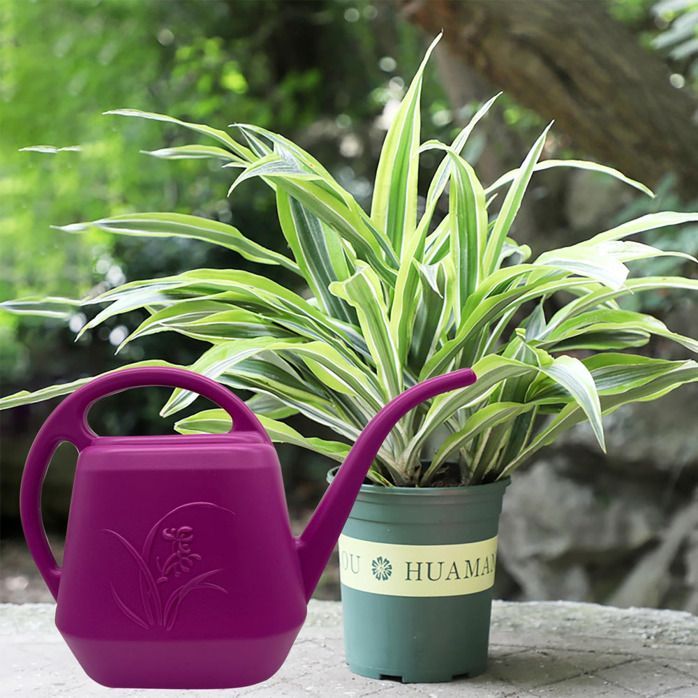 TTAOE GN Watering Can packaging and label
