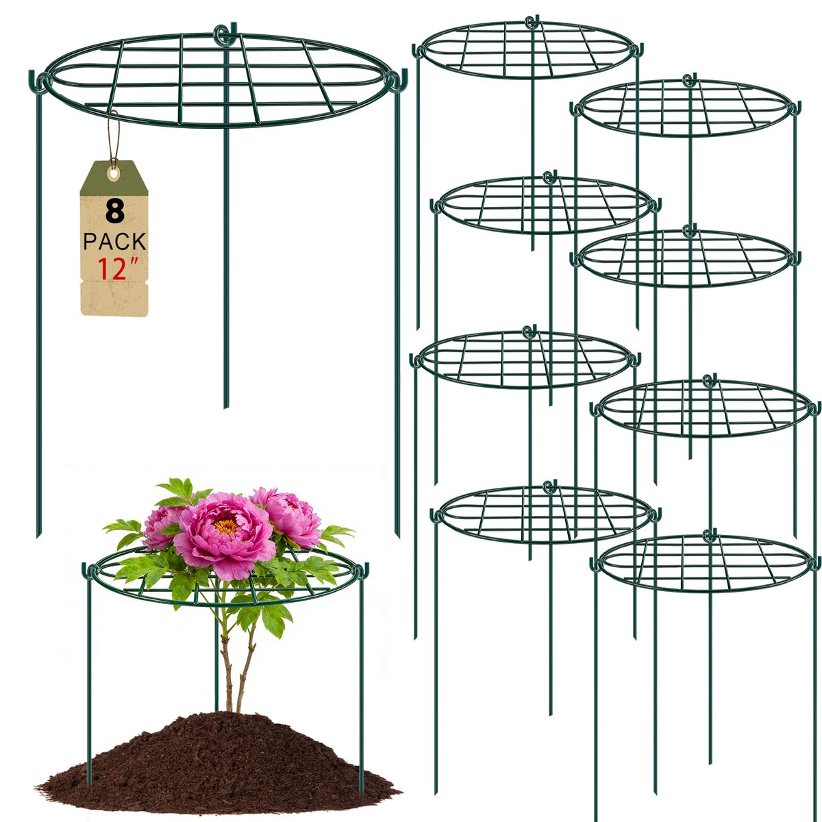 TTQ Peony Cage front view with green powder coating