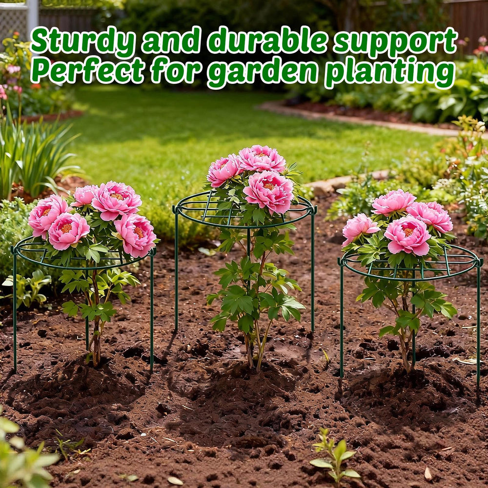 TTQ Peony Cage set of 8 displayed on a patio