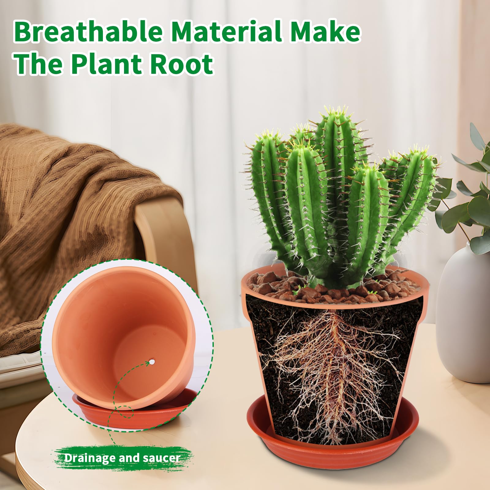 Tuqaumu terracotta pot filled with succulent on a windowsill